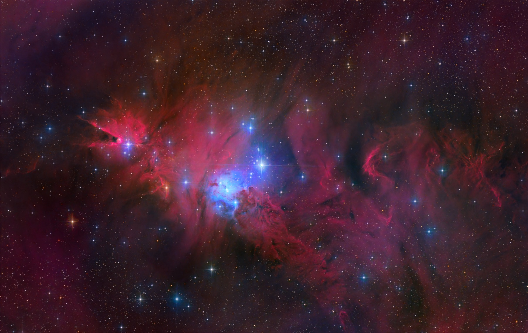 The Cone Nebula and Christmas Tree Cluster (NGC 2264)
