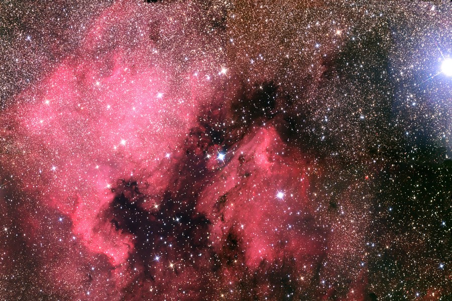 NGC 7000 (C20)