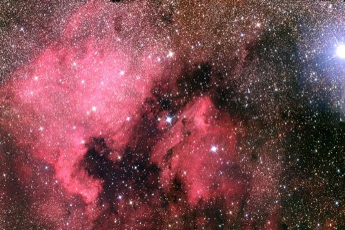 NGC 7000