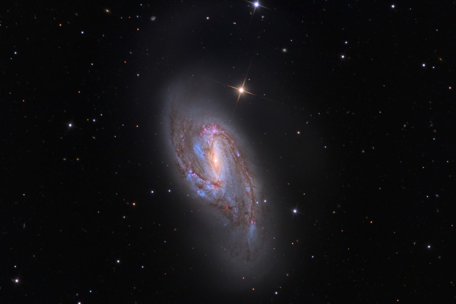 M66