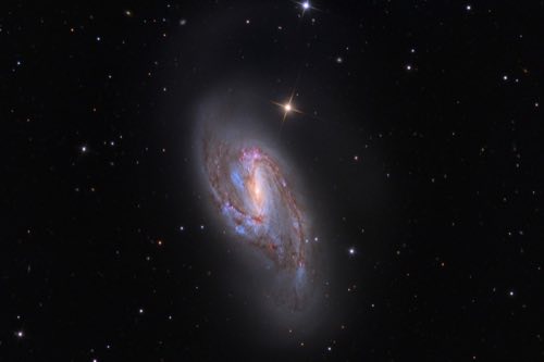 M66